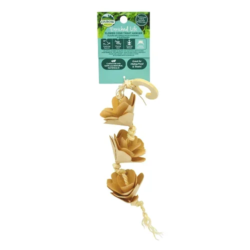Enriched Life – Flower Cone Treat Hanger*