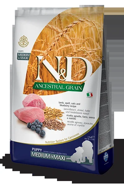 Farmina dog Ancestral Grain lamb & blueberry med maxi Puppy