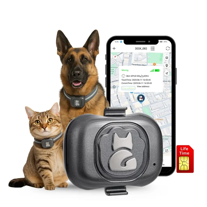 FeTaca G16 Smart 4G GPS Waterproof Mini Collar Tracker with Free Life Time Tracking & App Subscription for Dogs and Cats (Grey)