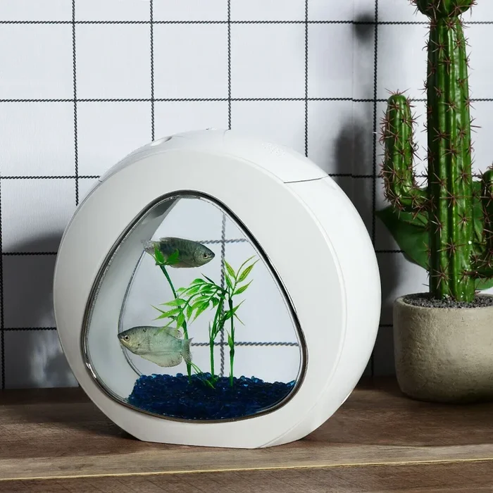 Fish Aquarium Tank