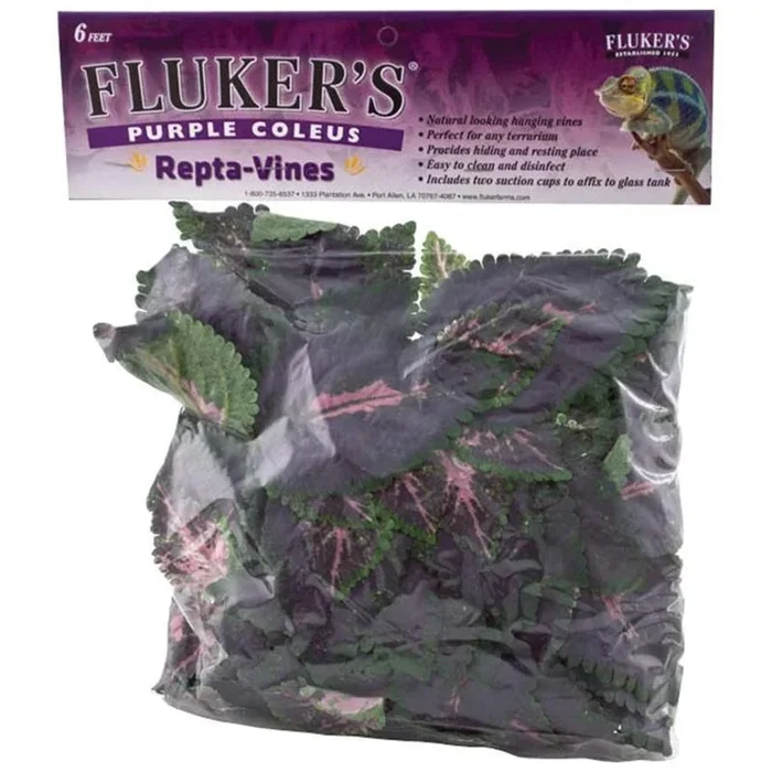 Fluker’s Purple Coleus Repta-Vines