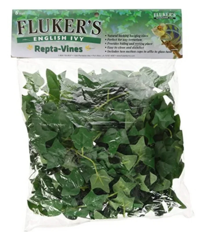 Fluker’s Repta Vines English Ivy