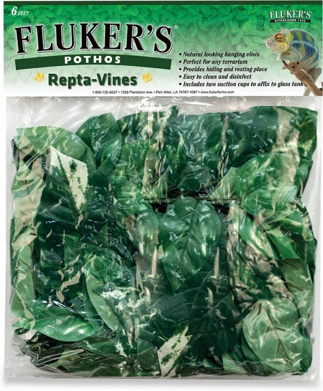 Fluker’s Repta Vines Pothos