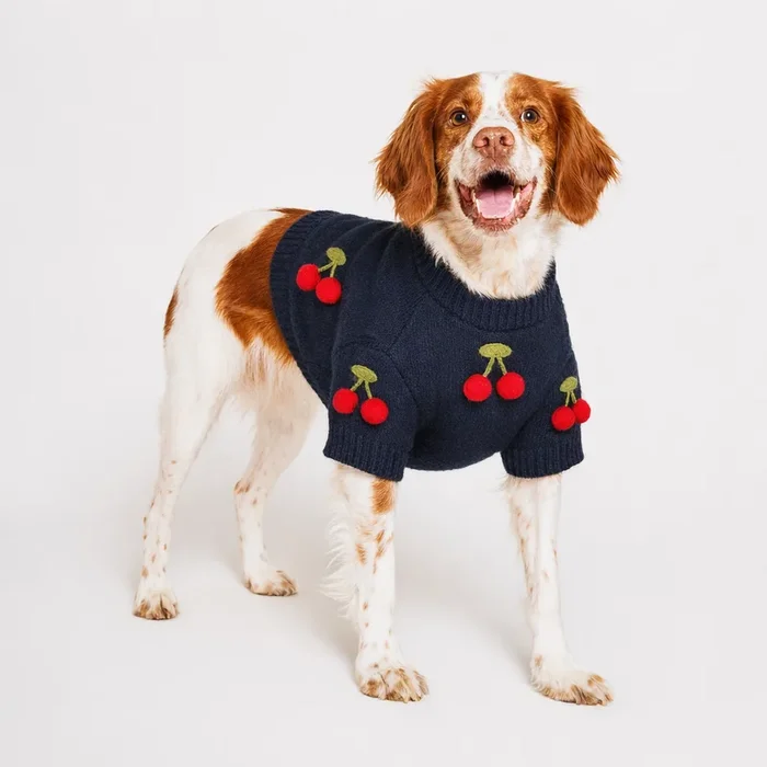 Found My Animal Cherries 3D Icon Sweater