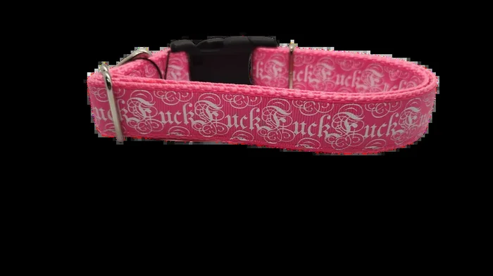 Fuck Pink Nylon Dog Collar