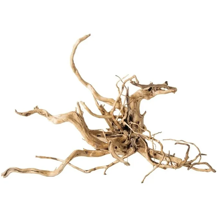 Galapagos – Natural Spider Wood