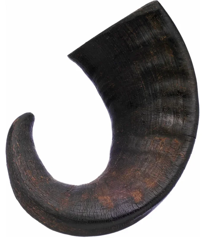 GoBelly’s Water Buffalo Horn Chew – 100% Natural, Long-Lasting Dog Treat