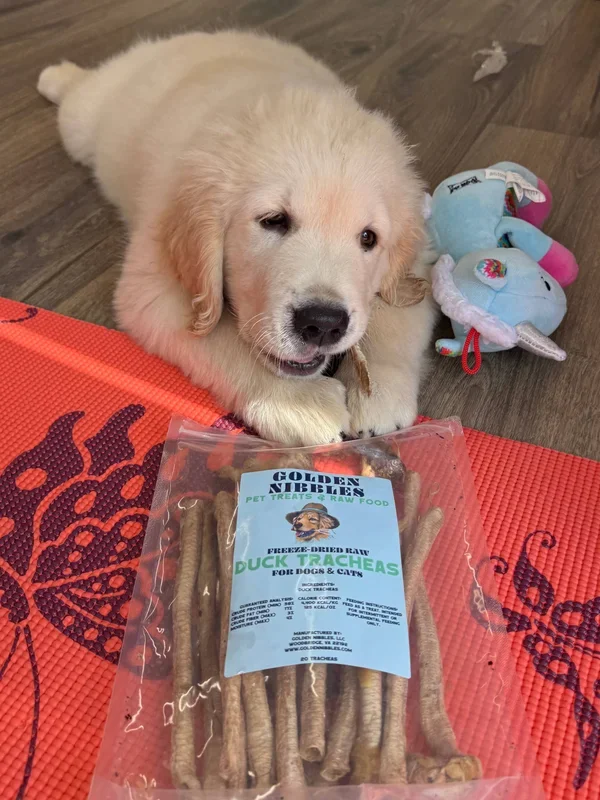 Golden Nibbles – Duck Trachea – for Cats, Puppies, Small Dogs