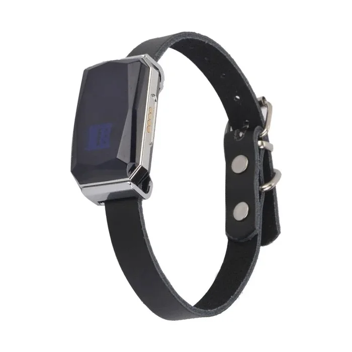 GPS Cat Collar – Anti Lost & GPS Finder