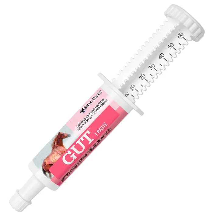 GUT Digestive Support for Horses, Paste