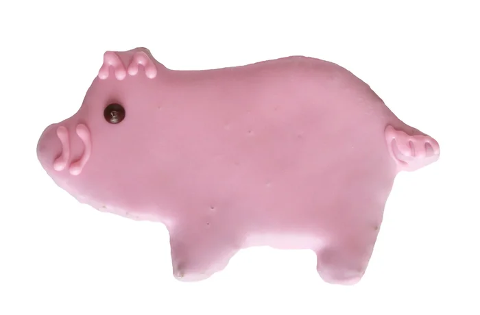 Hand Decorated Pig Cookie by Preppy Puppy