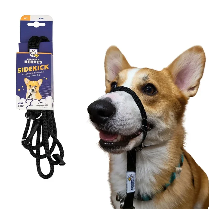 Heather’s Heroes Sidekick Mini Black Dog Leash 1/4″ x 6′
