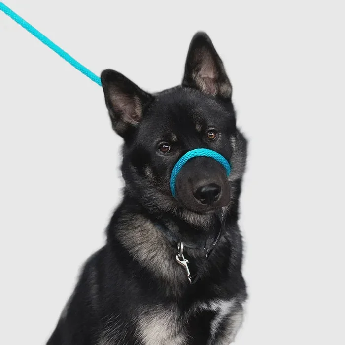 Heather’s Heroes Sidekick No-Pull Dog Leash – Regular 3/8″, 6ft
