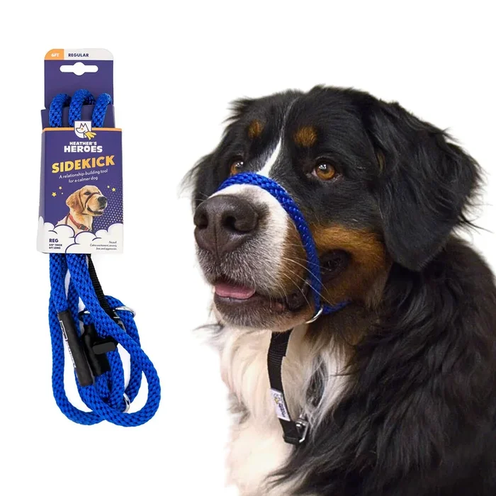 Heather’s Heroes Sidekick Regular Blue Dog Leash 3/8″ x 6′