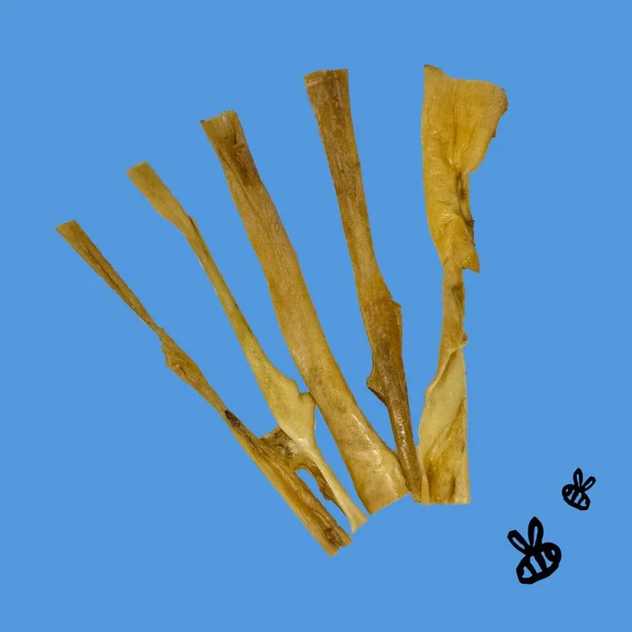 Honey I’m Home Honey Coated Buffalo Collagen Strips -Single