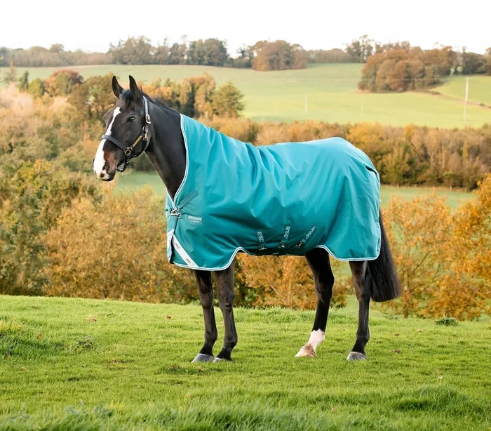 Horseware Amigo Bravo 12 Wug Turnout Blanket 250g Medium Weight – Waterproof, Breathable, High Withers Fit