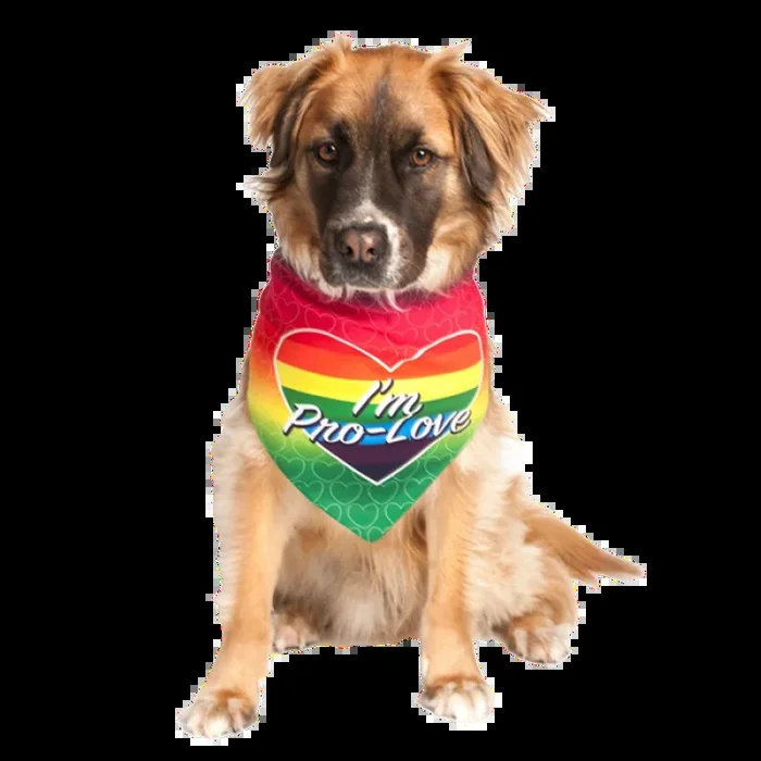 I’m Pro Love LGBTQ Dog Bandana by Dog Fashion Living