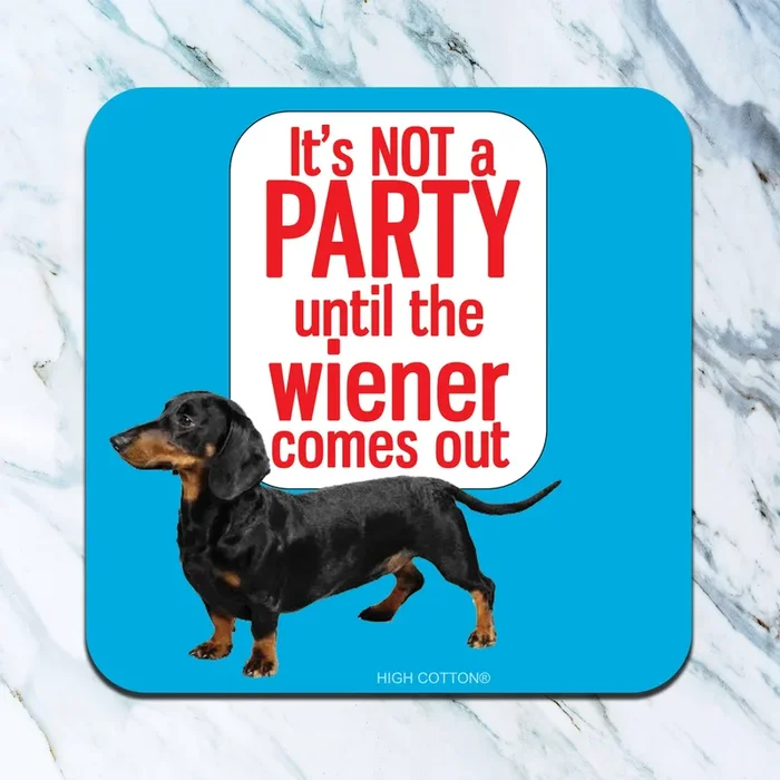 It’s not a party until Coaster