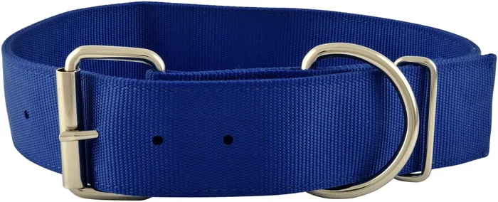 Jeffers 2″W Heavy-Duty Nylon Large Breed Dog Collars
