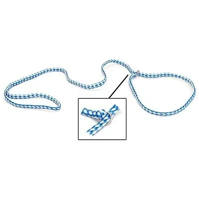 Jeffers Animal Control Slip Dog Lead, Braided Poly, 6’L