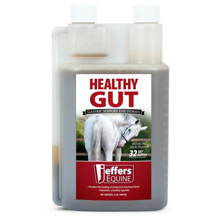 Jeffers Healthy Gut Gastric Support Liquid Supplement for Horses