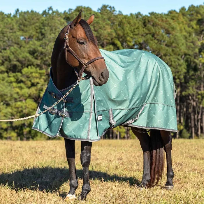 Jeffers Poplar Head Uniquely English 1200D Turnout Sheet, 0g – Waterproof & Breathable Lightweight Horse Blanket