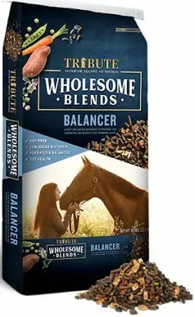 Kalmbach Wholesome Blends Balancer 50 Lb Bag