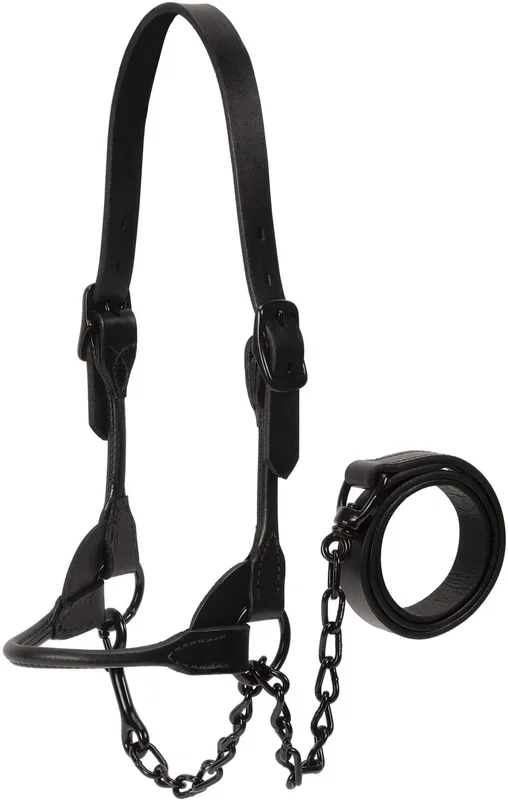 Kirk Stierwalt Black Magic Show Halter