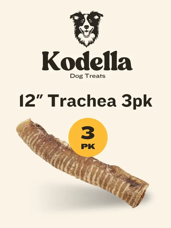 Kodella Beef Trachea, Dog Chew