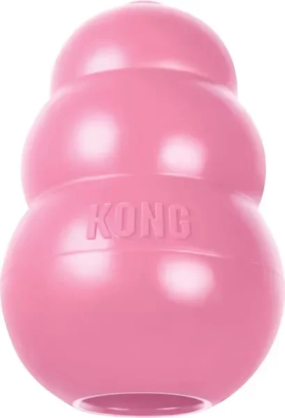 Kong Puppy – Medium
