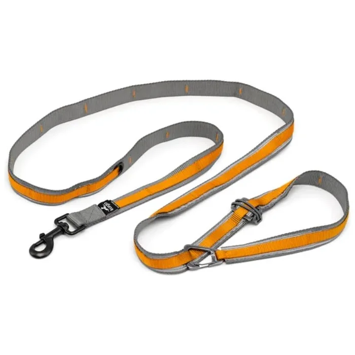 Kurgo – Reflective Quantum Leash 2.0
