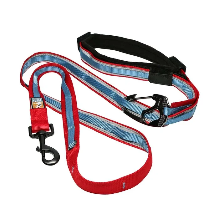 Kurgo – Reflective Quantum Leash