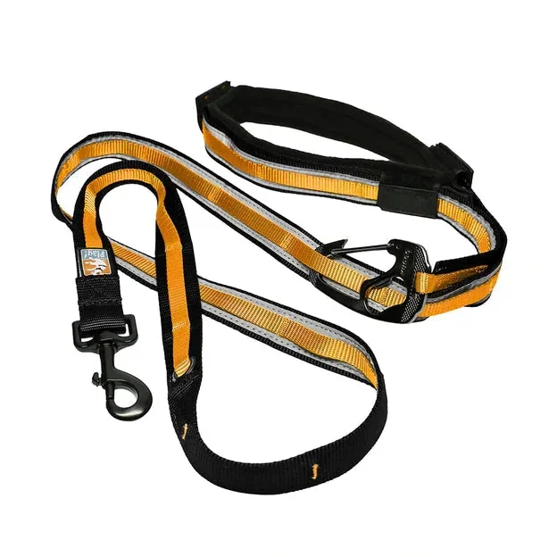 Kurgo Quantum 6-in-1 Dog Leash