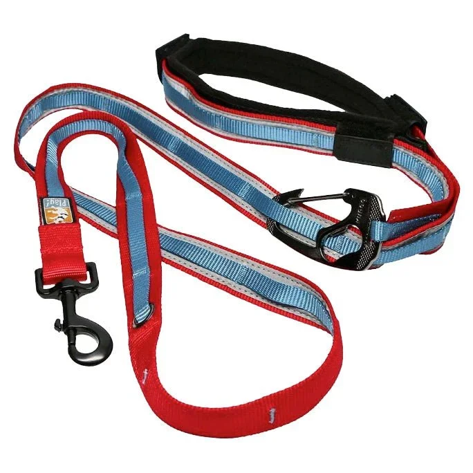 Kurgo Reflective Quantum Hands-Free Dog Leash – 6-in-1 Adjustable Multi-Use Leash