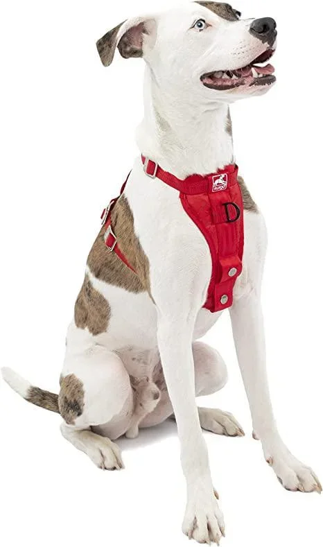 Kurgo Tru-Fit Smart Harness W/ Seatbelt *