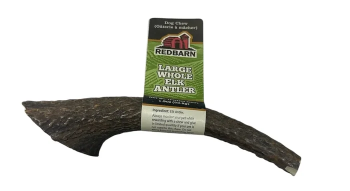 large whole elk antler red barn 1.9 oz