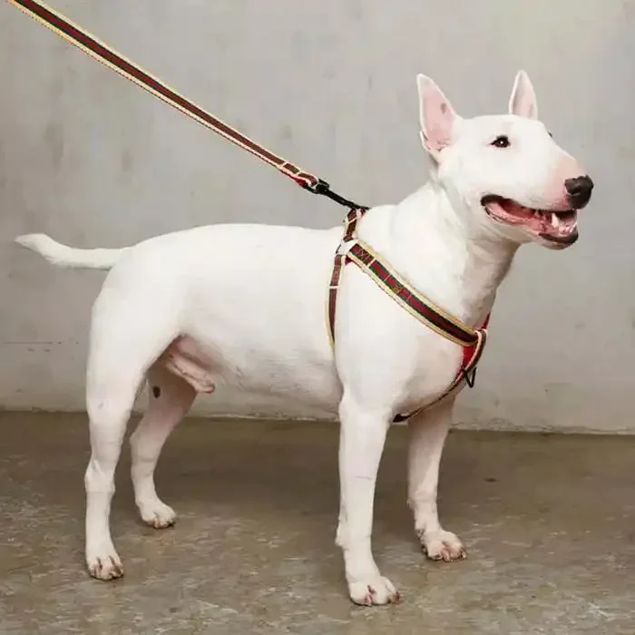 Le Classic Dog Harness
