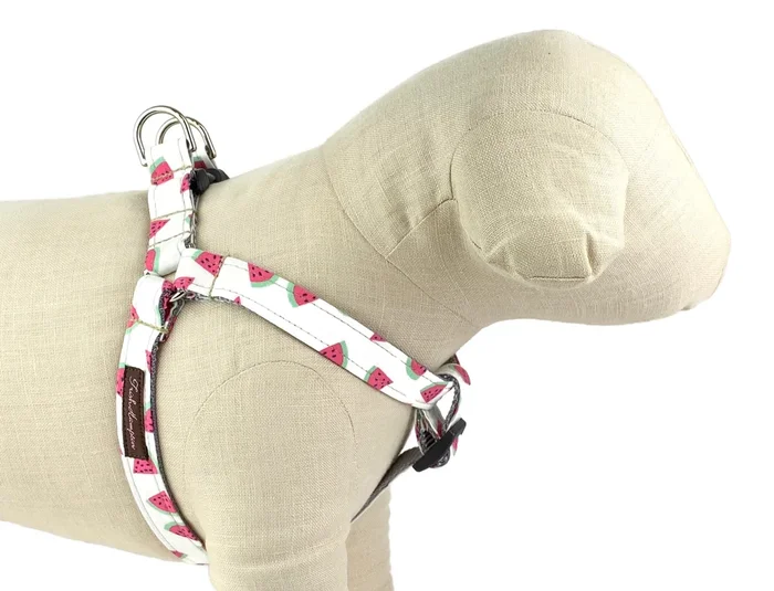 Limited Edition Watermelon Dog Harness – 756