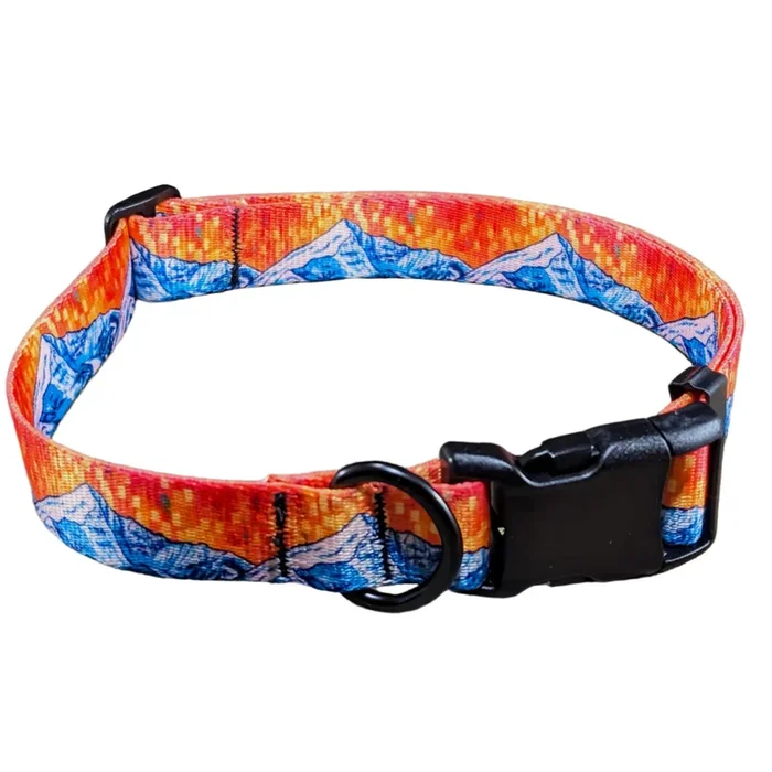 Lone 2 Collar Adjustable Size for Pets, Durable and Comfortable Design and Matching Leash