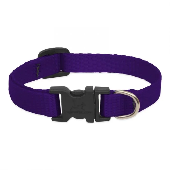 Lupine Collar Purple