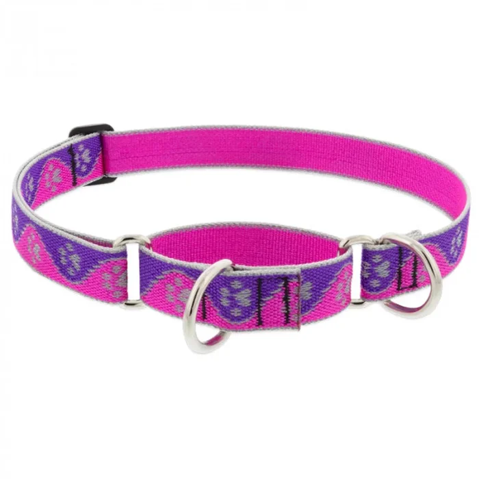 Lupine Dog Collar Martingale 3/4″ Wide X 10″-14″ Neck Size Pink Paws