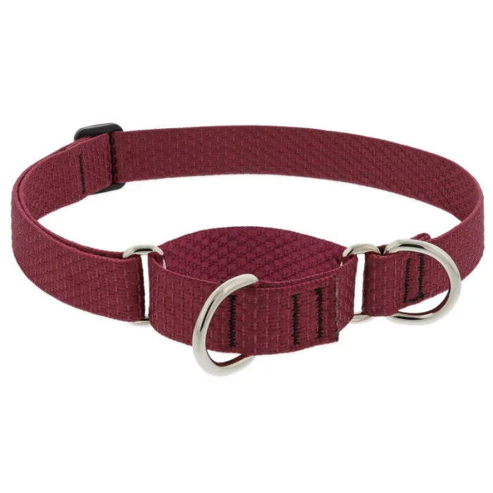 Lupine Eco Martingale Dog Collar 1″x19-27″ Berry