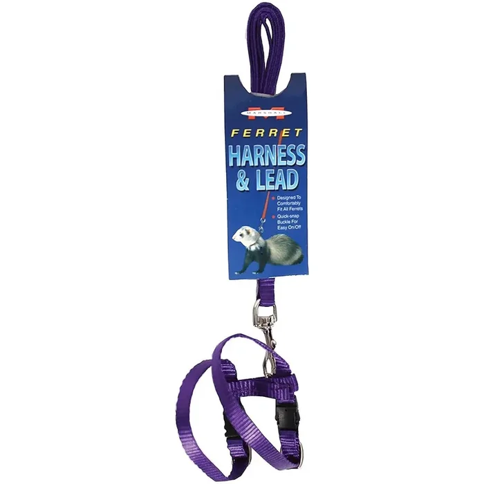 Marshall Ferret Harness & Lead Purple 48-Inch