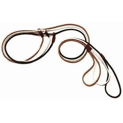 Mendota British Pet Show Dog Slip Leash