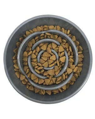 Messy Mutts Slow Interactive Feeder Dog Bowl – Large, 3 Cups