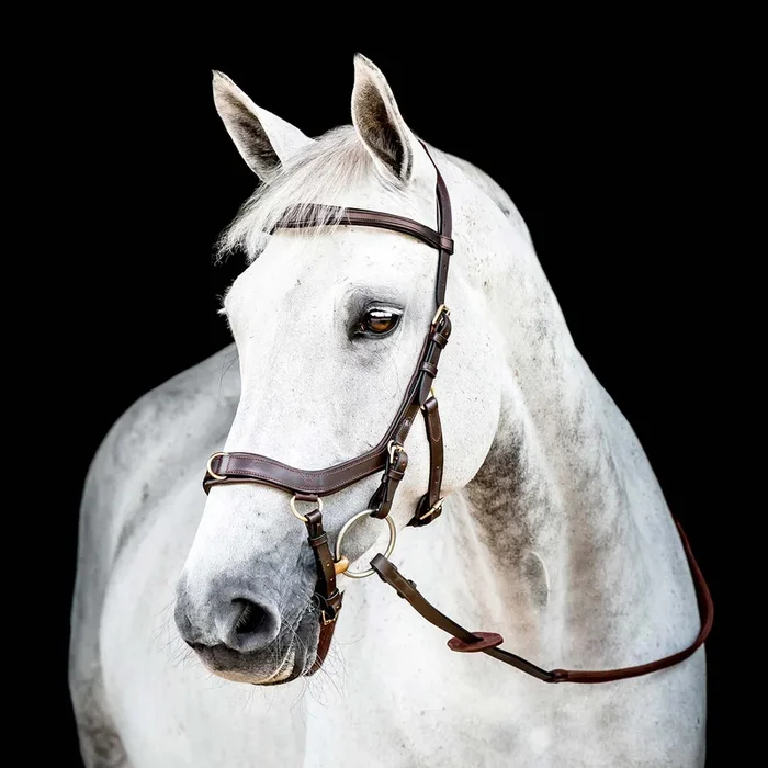 Micklem 2.0 Multi Bridle for Horses – Adjustable Bit Straps, Padded Leather, Pressure-Relief Design