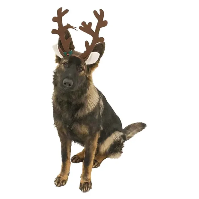 Midlee – Brown Reindeer Dog Antlers Headband