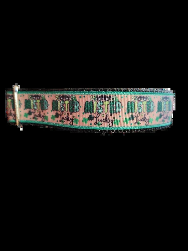 Mister Lucky Nylon Dog Collar