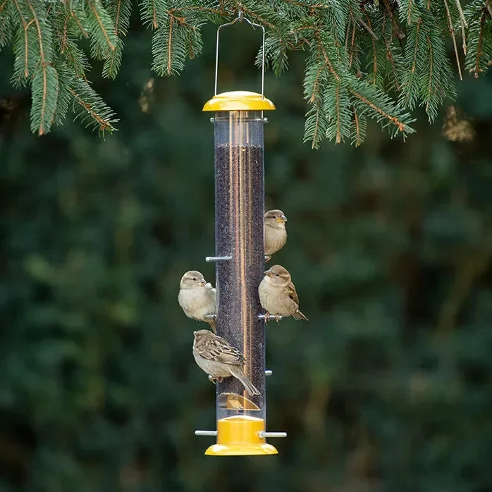 More Birds – Topsy Tails Finch Feeder