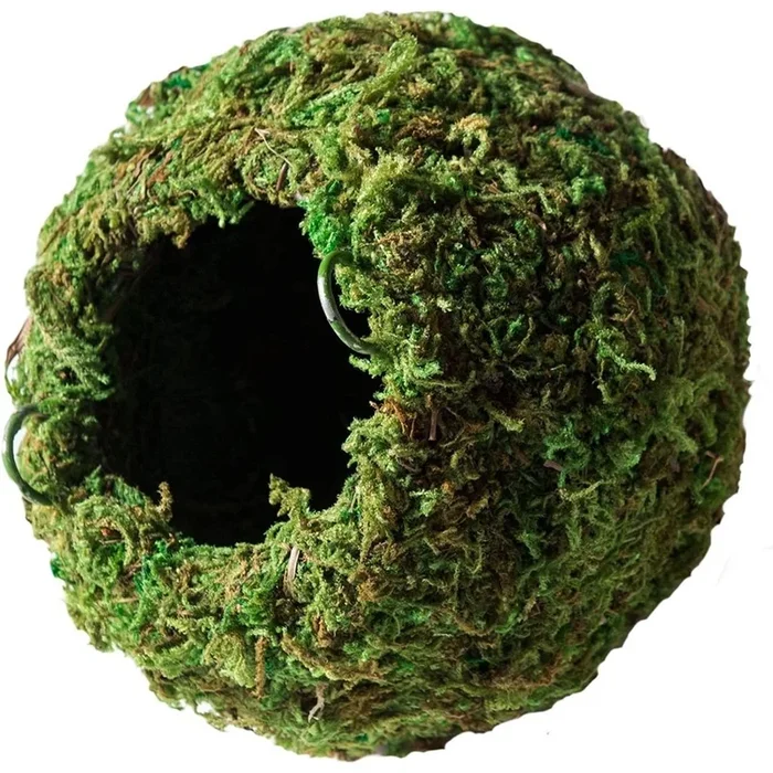 Mossy Cave
